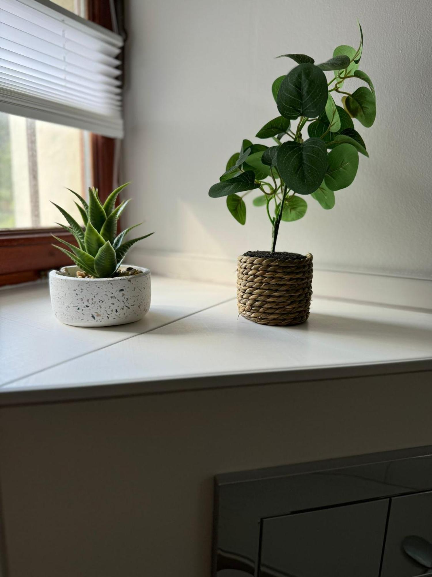 Ferienwohnung Neue Quickbox Thale Exteriér fotografie