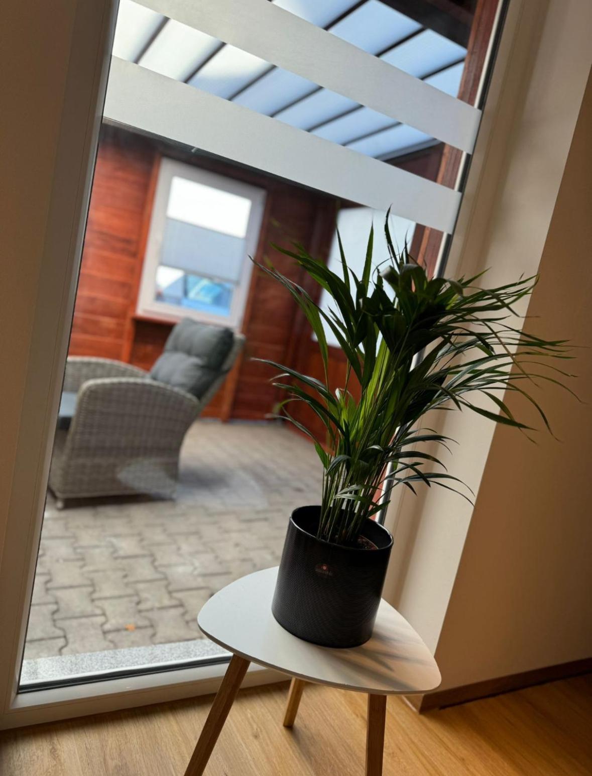 Ferienwohnung Neue Quickbox Thale Exteriér fotografie